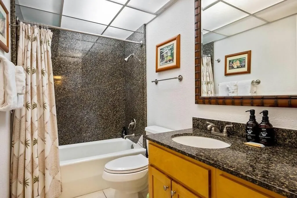 Apartment Kaanapali Shores 423- Ocean View 2 Bed, 2Bath Kaanapali Shores Gem Kahana United States