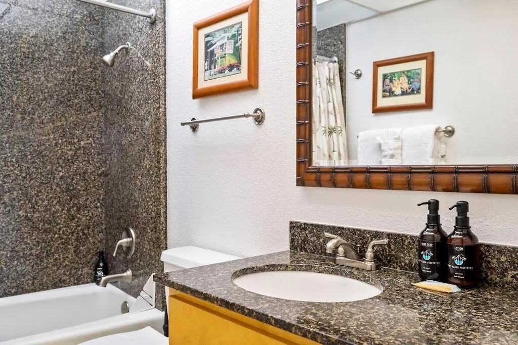 Kaanapali Shores 423- Ocean View 2 Bed, 2Bath Kaanapali Shores Gem Kahana United States